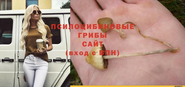 амф Алзамай