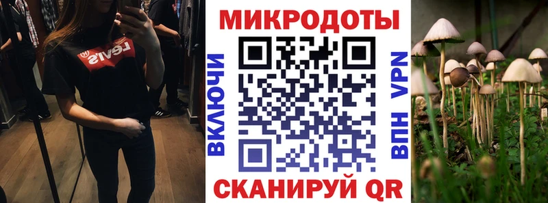 Псилоцибиновые грибы Psilocybine cubensis даркнет сайт Долинск
